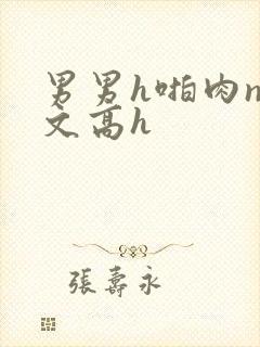 男男h啪肉np文高h