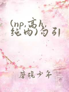 (np,高h,纯肉)勾引