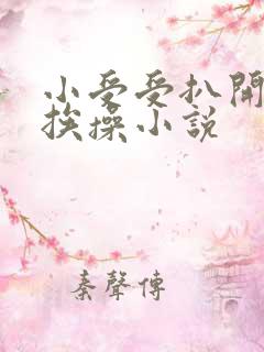 小受受扒开屁股挨操小说