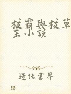 校霸与校草双男主小说