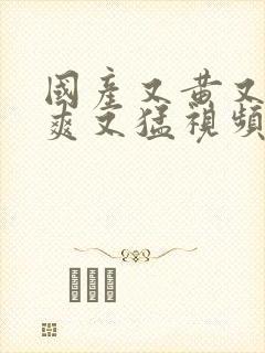 国产又黄又粗又爽又猛视频