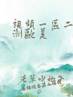 视频一区二区亚洲欧美