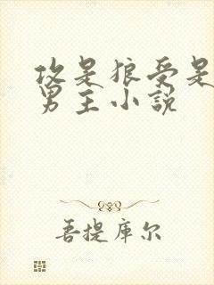 攻是狼受是人双男主小说