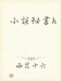 小说秘书h