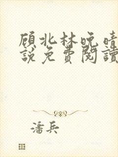 顾北林晚晴的小说免费阅读无弹窗