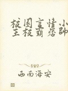 校园言情小说男主校霸痞帅