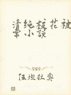 清纯校花被瘾日常小说