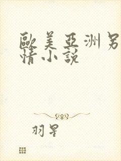 欧美亚洲另类激情小说