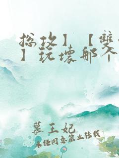 总攻】【双性攻】玩坏那个攻