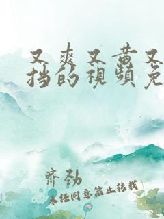 又爽又黄又无遮挡的视频免费看