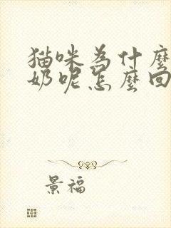 猫咪为什么要踩奶呢怎么回事