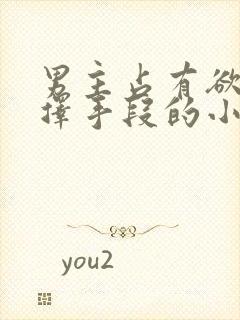 男主占有欲强不择手段的小说