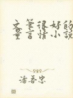 文笔很好的高质量言情小说