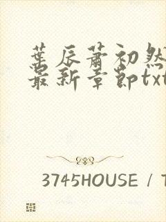 叶辰萧初然免费最新章节txt