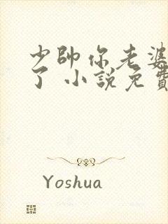 少帅你老婆又跑了 小说免费