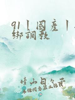 91丨国产丨捆绑调教