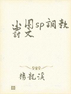 小圈sp调教惩罚文