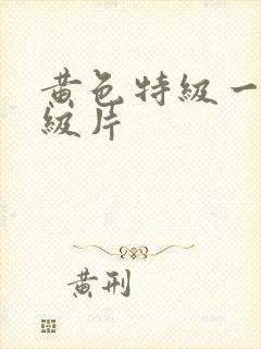 黄色特级一级一级片