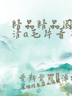 精品精品国产高清a毛片看着