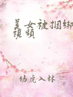 美女被捆绑调教视频