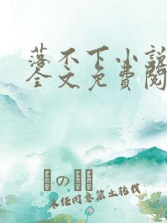 落不下小说在线全文免费阅读