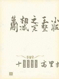 万相之王小说未删减完整版