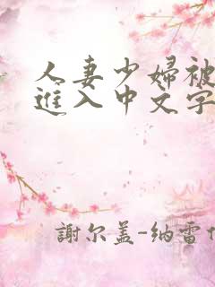 人妻少妇被猛烈进入中文字幕