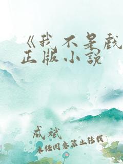 《我不是戏神》正版小说