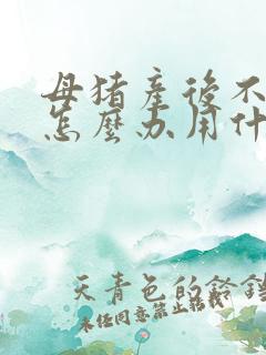 母猪产后不吃食怎么办用什么药