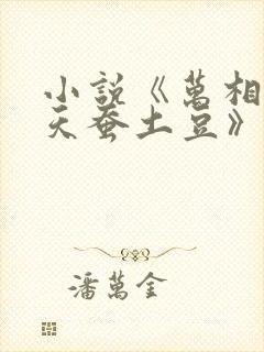 小说《万相之王天蚕土豆》