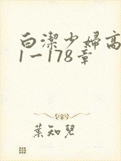 白洁少妇高义第1一178章