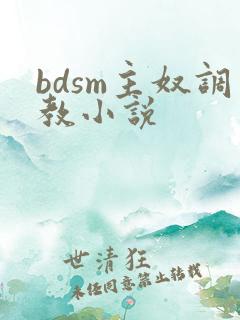 bdsm主奴调教小说