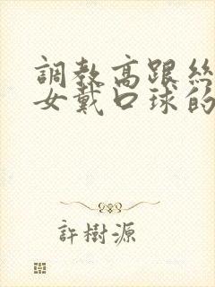 调教高跟丝袜美女戴口球的小说