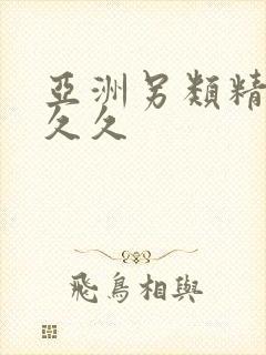 亚洲另类精品久久久