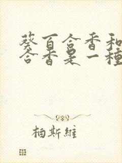 葵百合香和葵百合香是一种东西吗