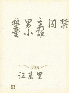 双男主囚禁强制爱小说