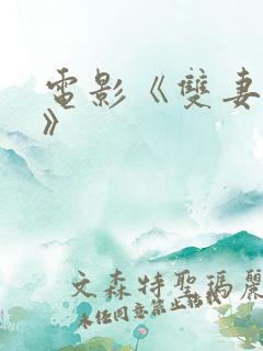 电影《双妻艳史》