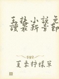 王扶小说免费阅读最新章节无弹窗