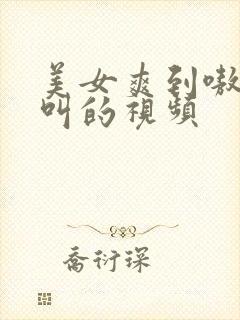 美女爽到嗷嗷嗷叫的视频