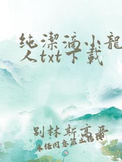 纯洁滴小龙捞尸人txt下载