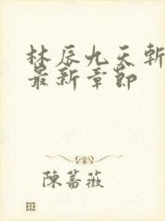 林辰九天斩神诀最新章节