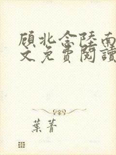 顾北念陆南辰全文免费阅读无弹窗