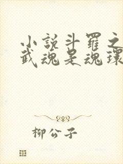 小说斗罗之我的武魂是魂环