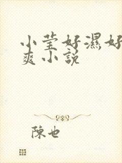 小莹好湿好紧太爽小说