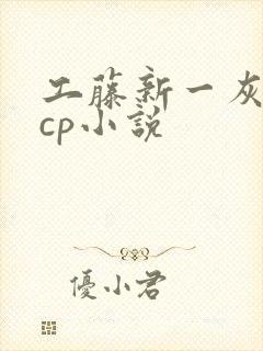 工藤新一灰原哀cp小说