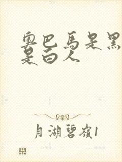 奥巴马是黑人还是白人