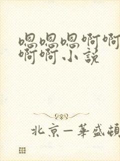 嗯嗯嗯啊啊啊啊啊啊小说