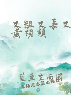 又粗又长又爽又黄视频