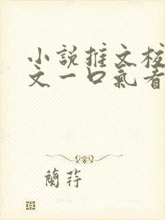 小说推文校园甜文一口气看完