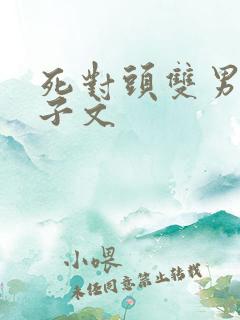 死对头双男主生子文